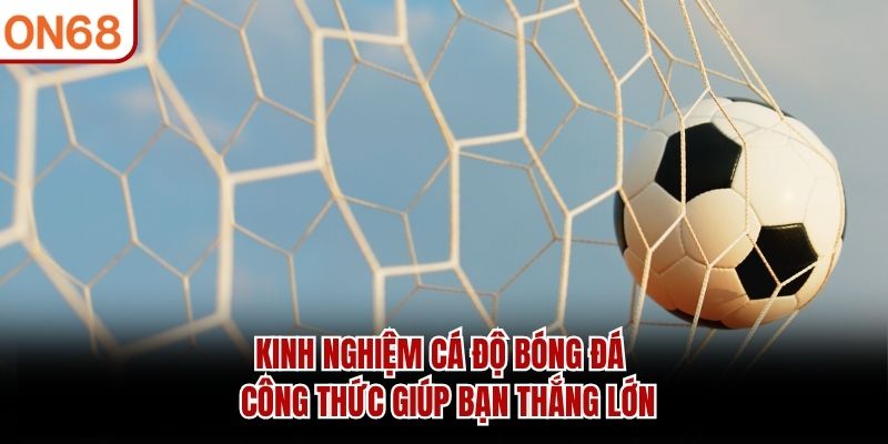 Kinh nghiệm cá độ bóng đá - Đảm bảo chính xác đến 80% kinh nghiệm cá độ bóng đá